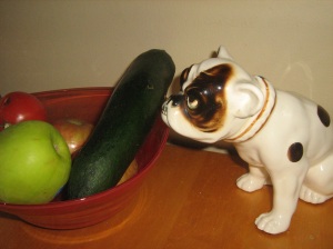 Dog is pleasantly surprised that a zucchini isn't the same as a cucumber.